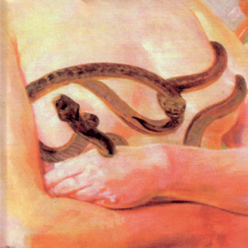 Dead Raven Choir : The Blood of Two Wolves